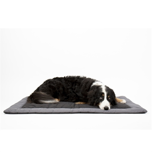 CAMP4 Abby Hundeteppe