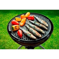 CADAC Grillo Chef 2 gassgrill